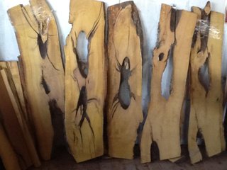 15622013_1498767713471789_7436293685890832476_n