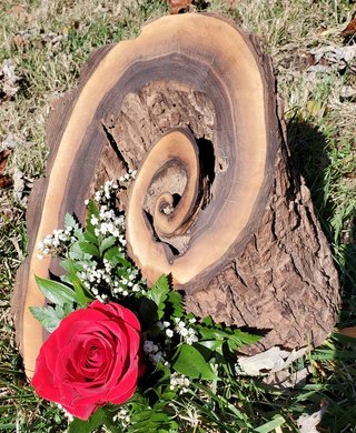 125232610_5188307284516489_4824999110258649823_n